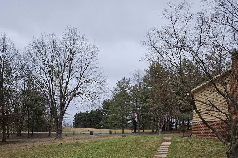 Photo of Outdoor in New Midway