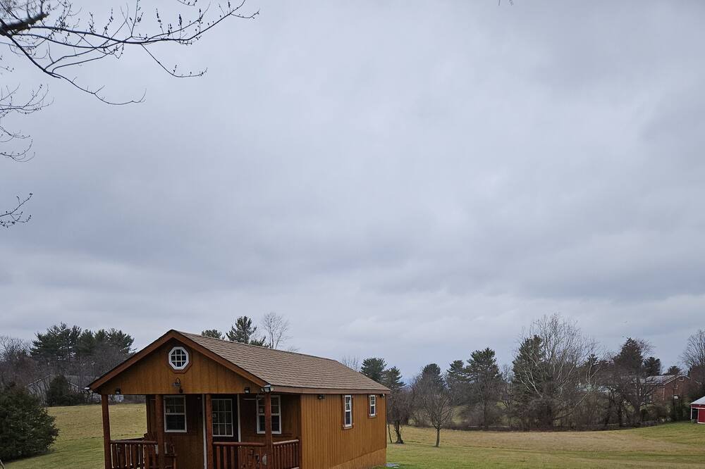 Photo of Outdoor in New Midway