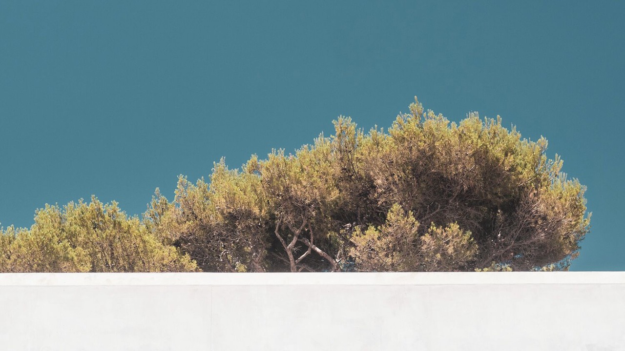 Photo of Outdoor in Carry-le-Rouet