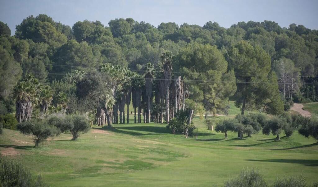 Photo of Others in Tarragona