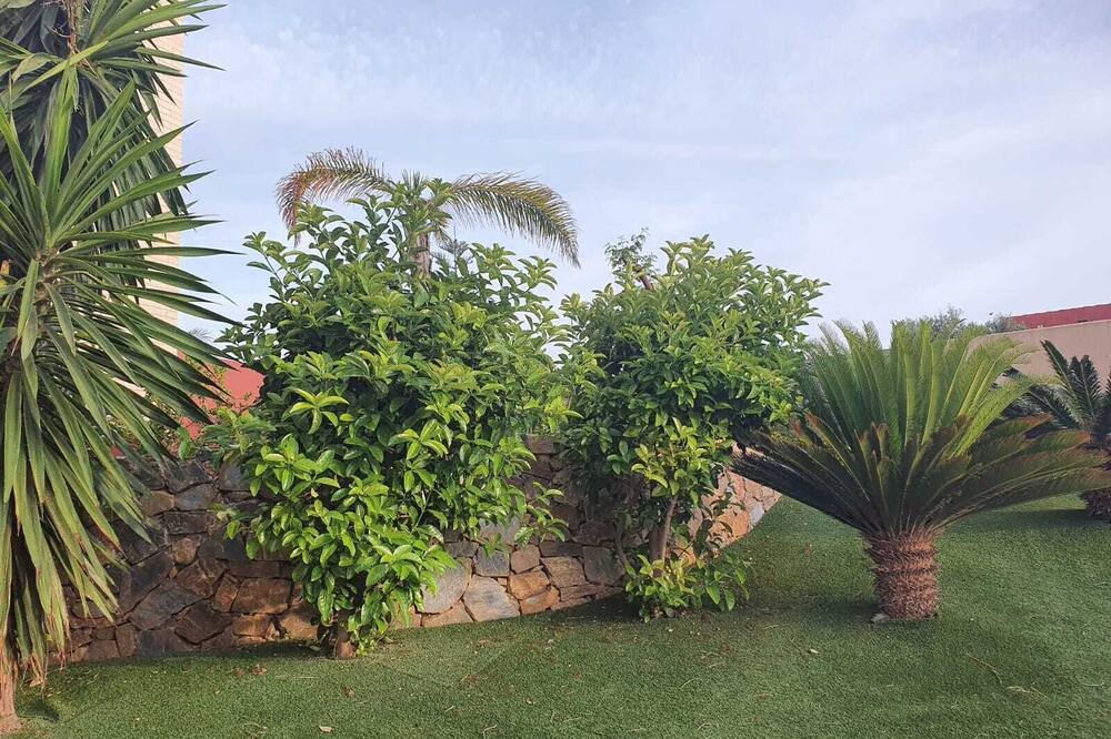 Photo of Others in Mil Palmeras