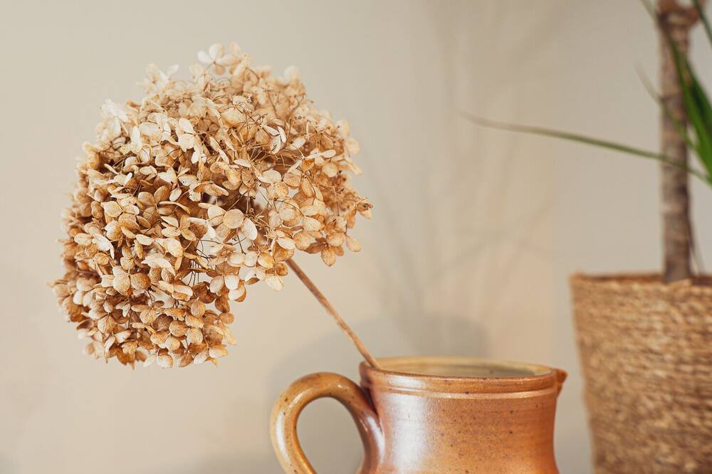 Photo of Others in Chablis