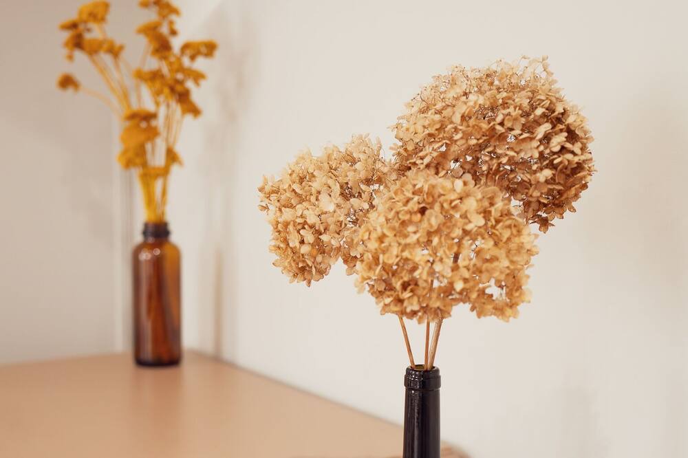 Photo of Others in Chablis