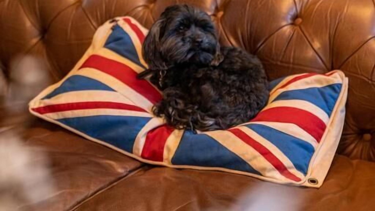 Photo of Others in Ripon