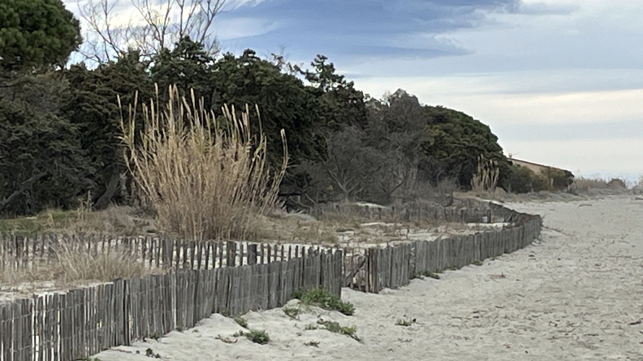 Photo of Outdoor in Casamozza