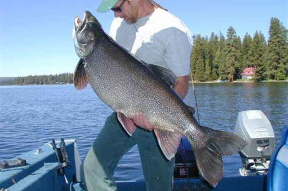 Photo of Outdoor in McCall
