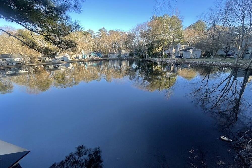Photo of Others in Rocky Mount