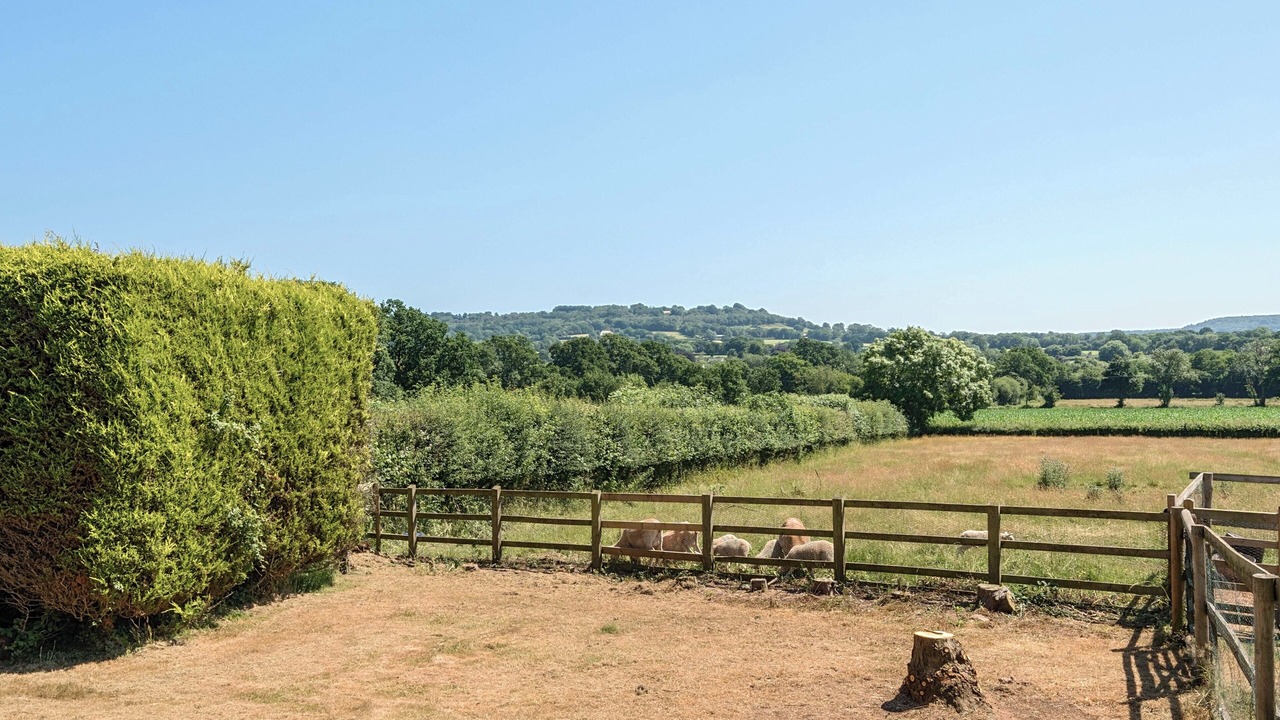 Photo of Others in Culmstock