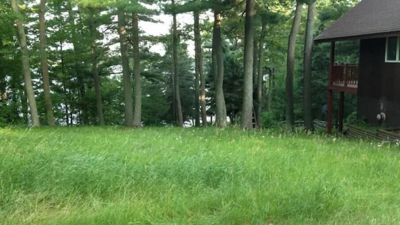 Photo of Outdoor in Hackensack