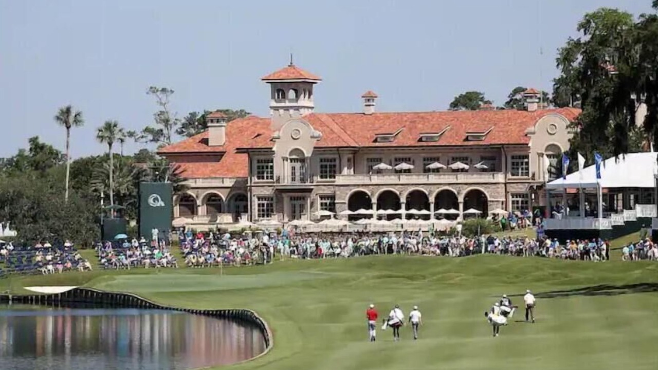 Photo of Others in Palm Valley