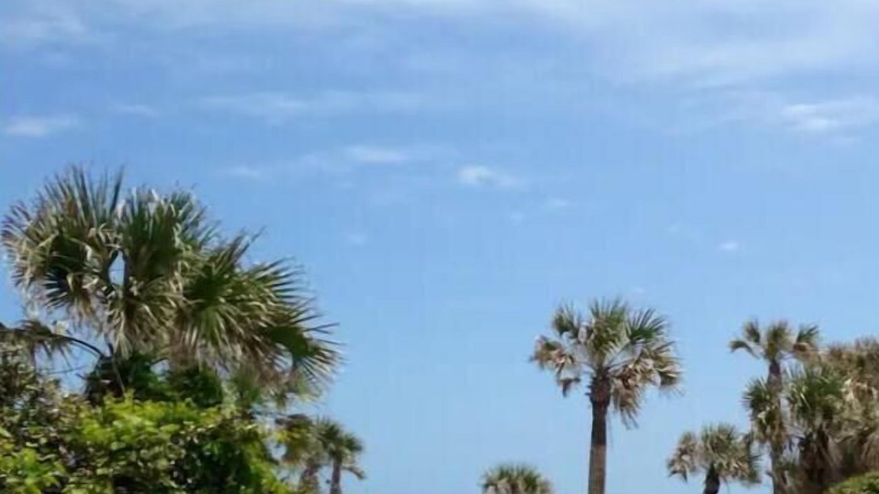 Photo of Others in Palm Valley