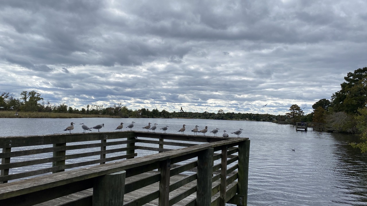 Photo of Others in Fairfield Harbour