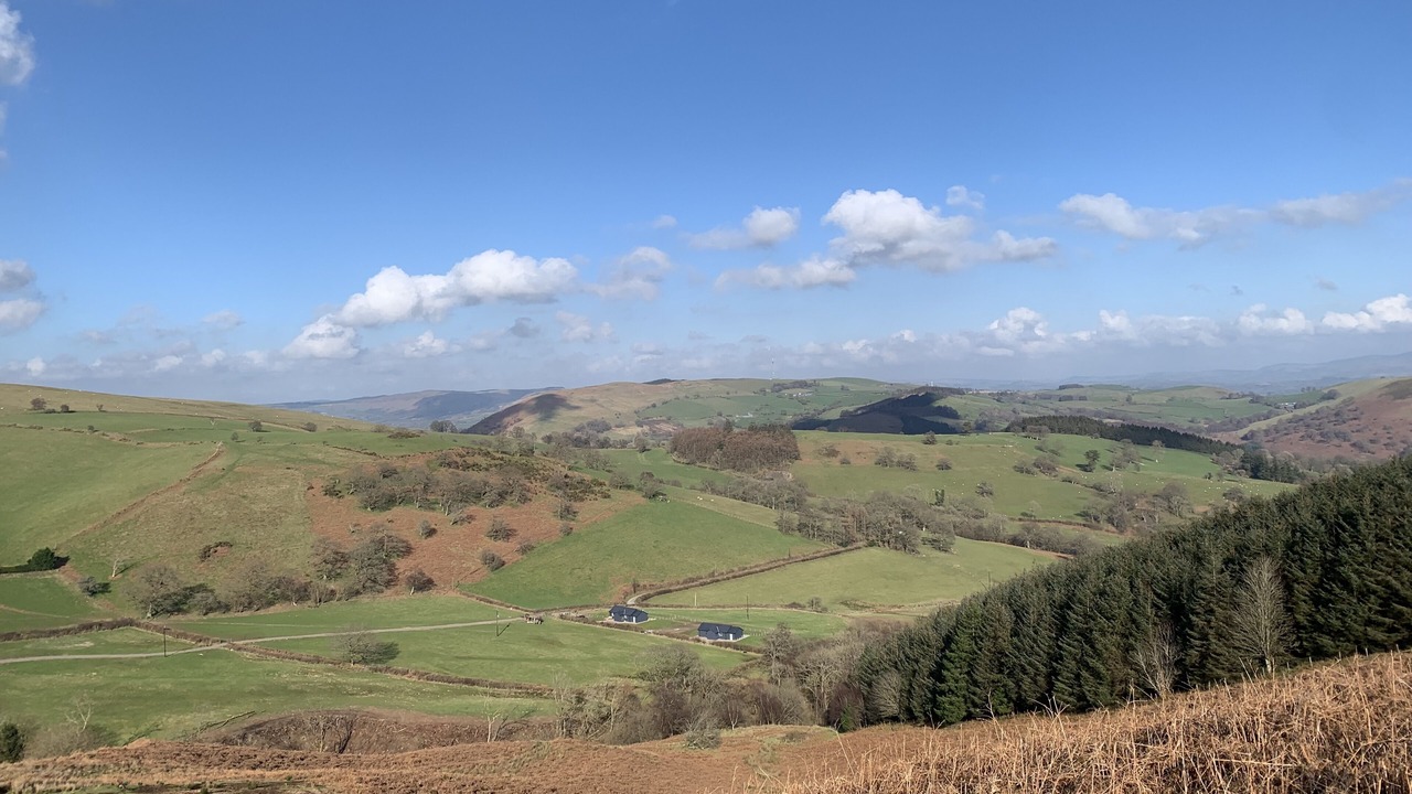 Photo of Others in Llandrindod Wells