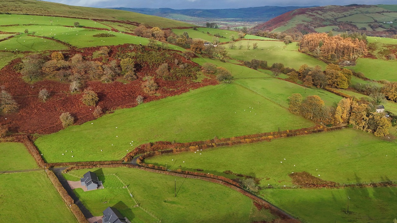 Photo of Others in Llandrindod Wells