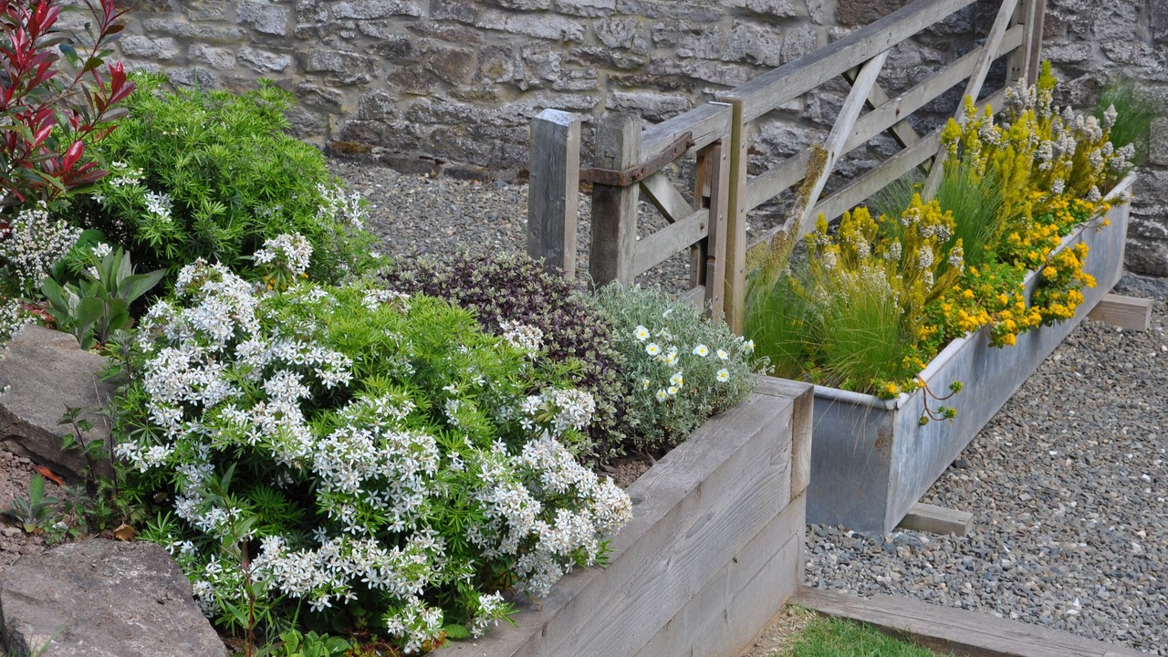 Photo of Others in Newcastle-on-Clun