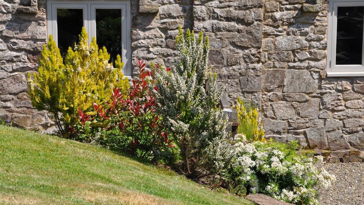 Photo of Outdoor in Newcastle-on-Clun