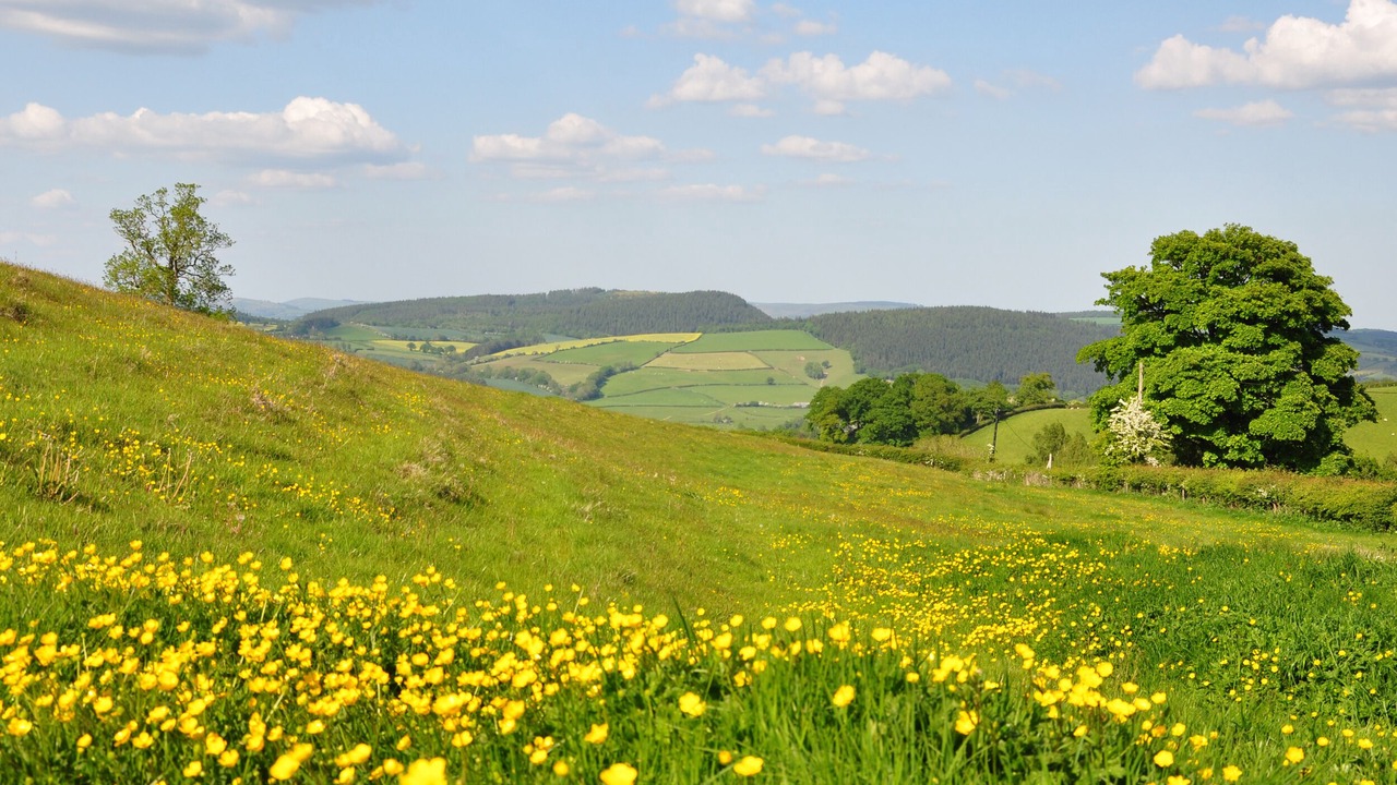 Photo of Others in Newcastle-on-Clun