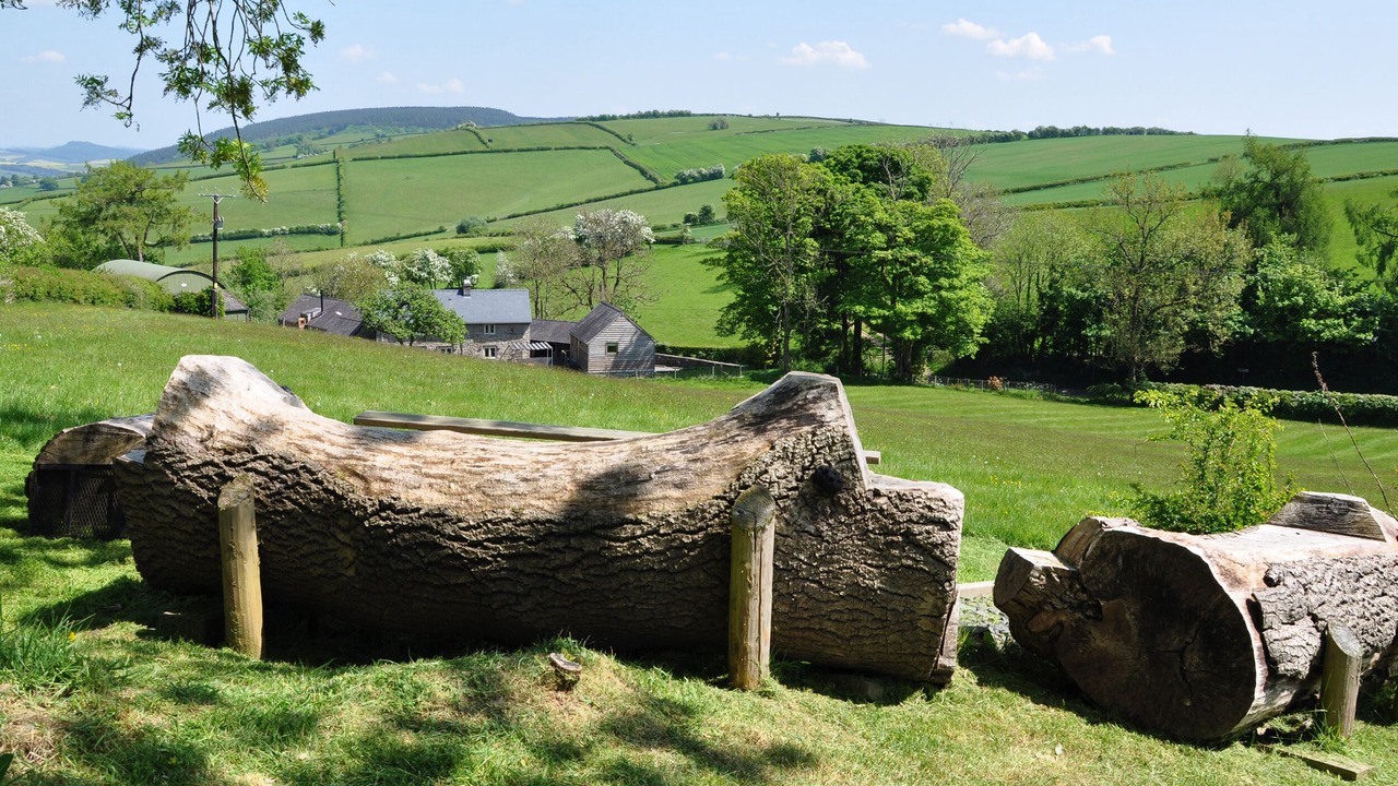Photo of Others in Newcastle-on-Clun