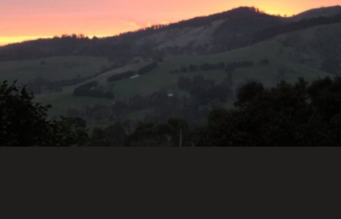 Photo of Others in Yinnar South