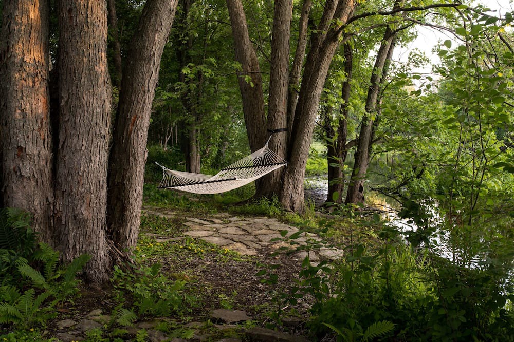 Photo of Others in Mississippi Mills