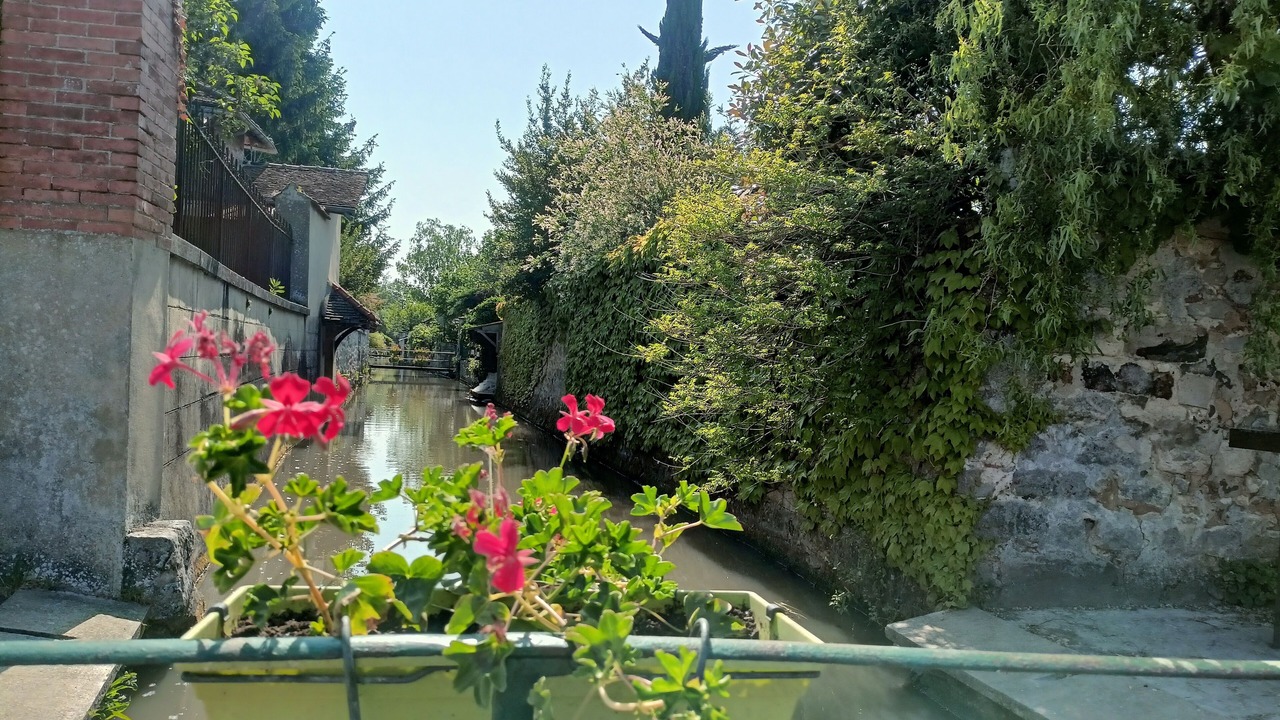 Photo of Outdoor in Flagy