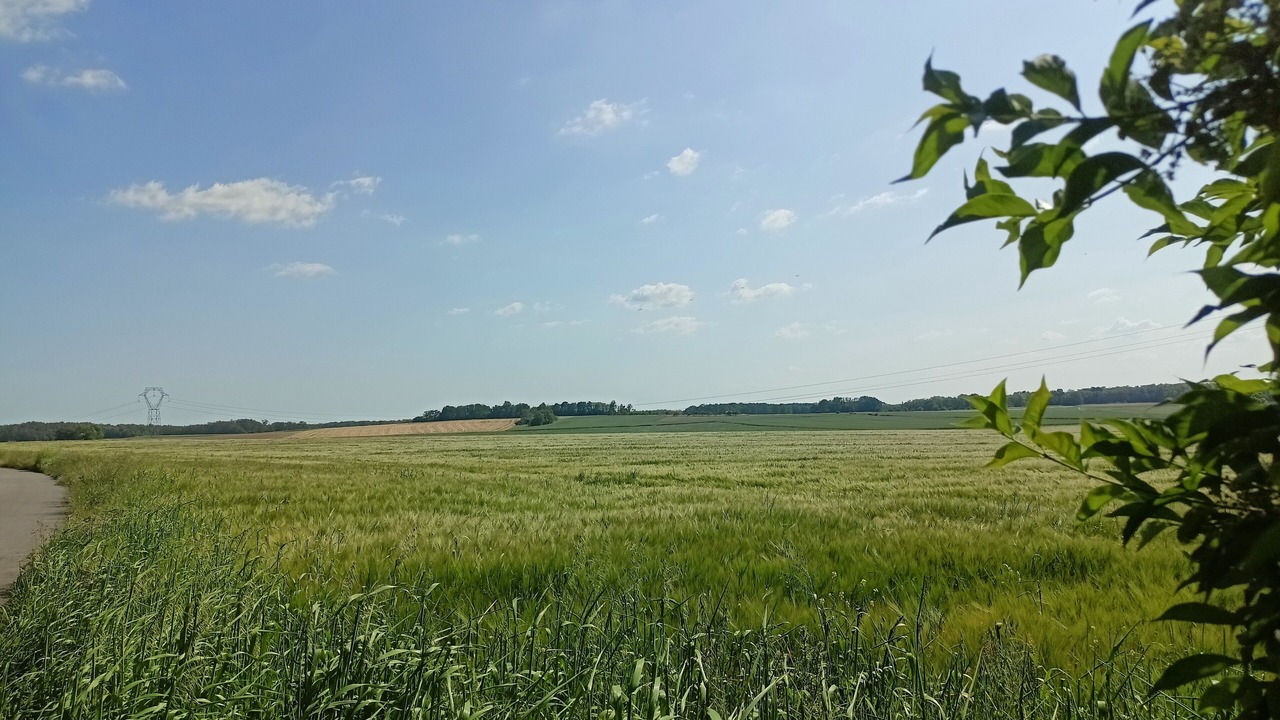 Photo of Outdoor in Flagy