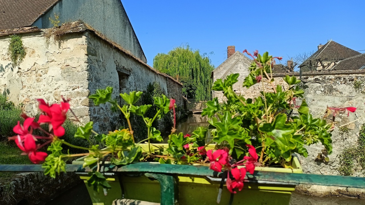 Photo of Outdoor in Flagy