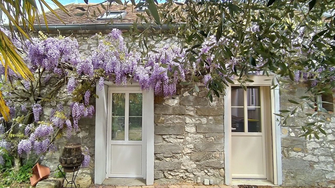 Photo of Outdoor in Flagy