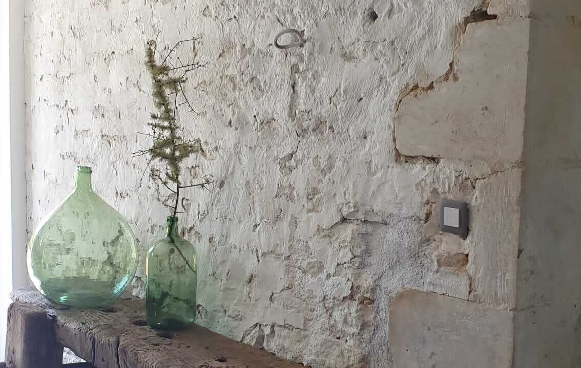 Photo of Others in Nieul-sur-l'Autise