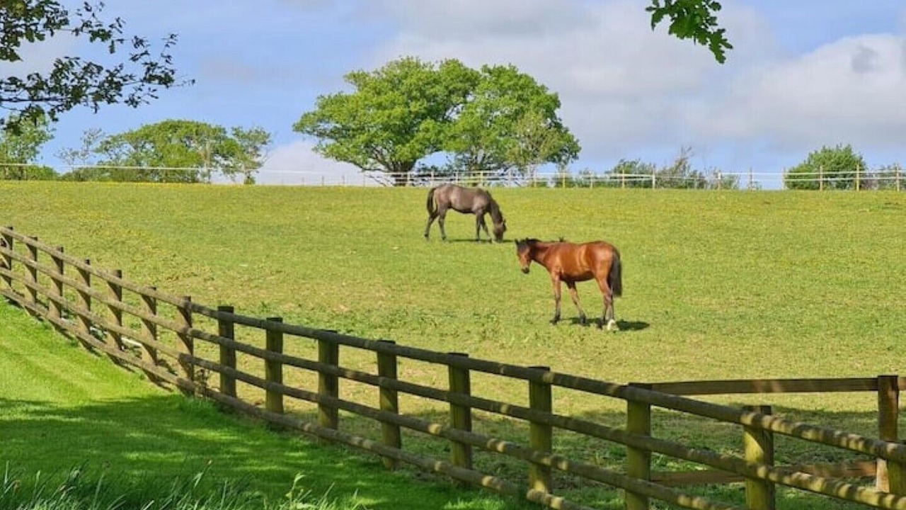 Photo of Others in Broadwoodkelly