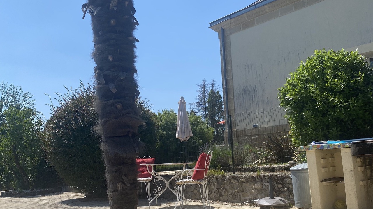 Photo of Outdoor in Puy-de-Serre