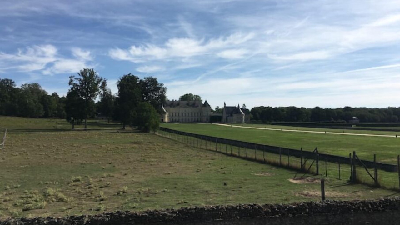 Photo of Others in Maze-Milon