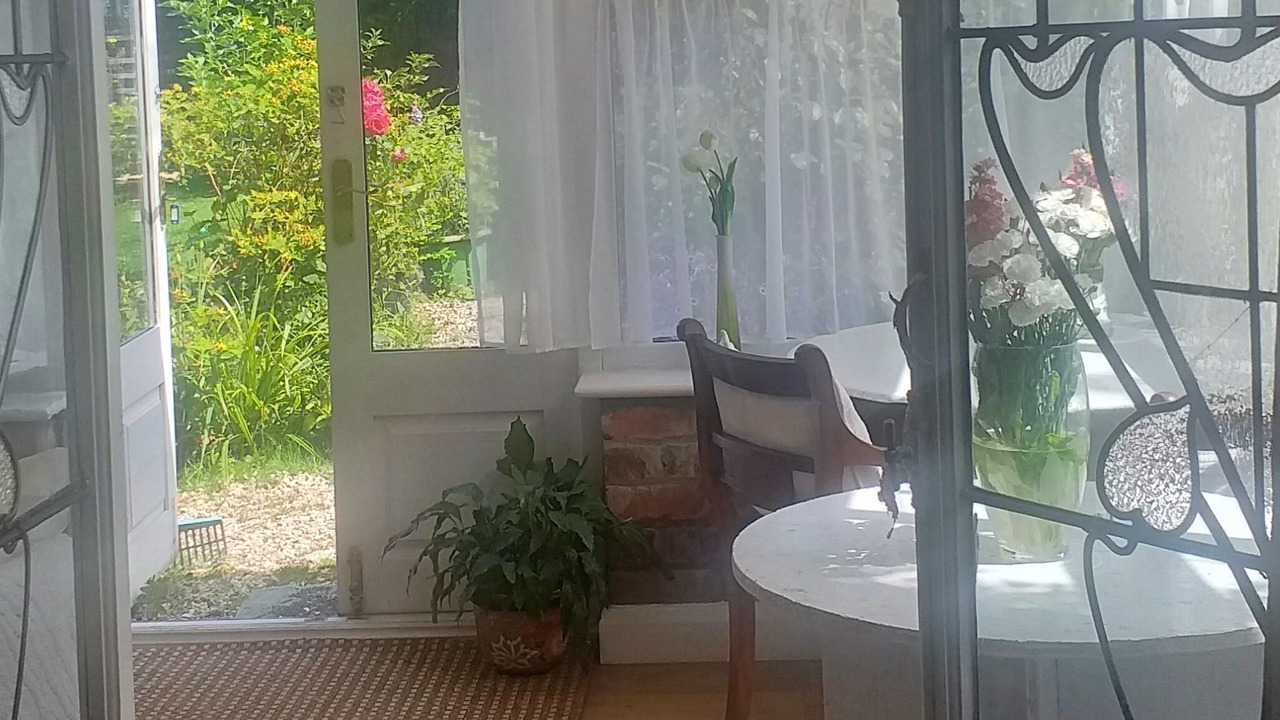 Photo of Others in Hull