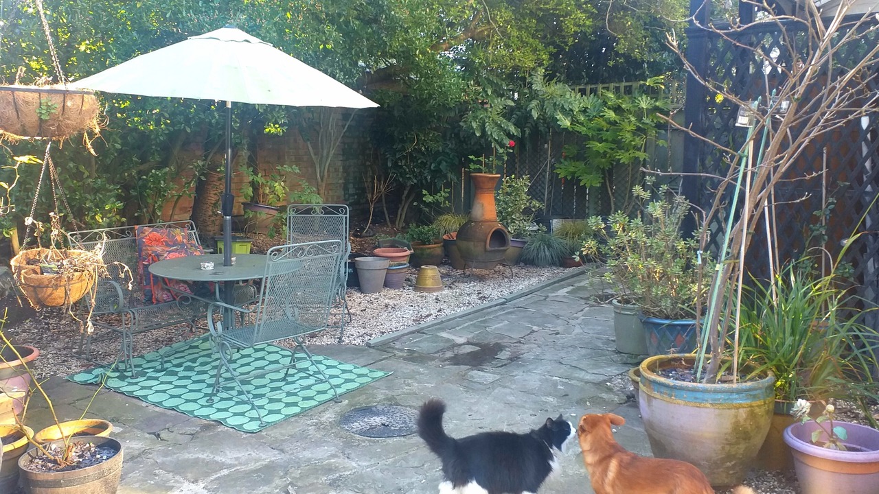 Photo of Outdoor in Hull