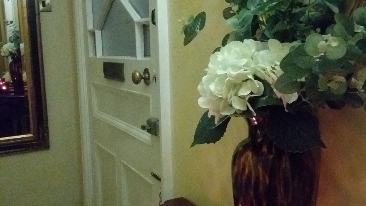 Photo of Others in Hull