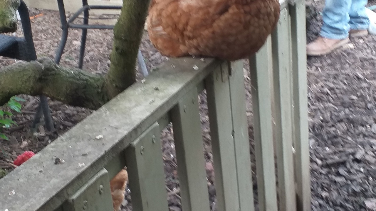 Photo of Outdoor in Hull