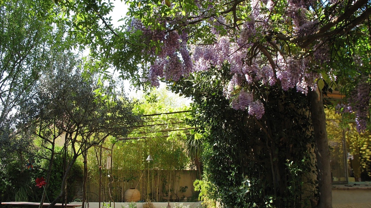 Photo of Outdoor in Cournonterral