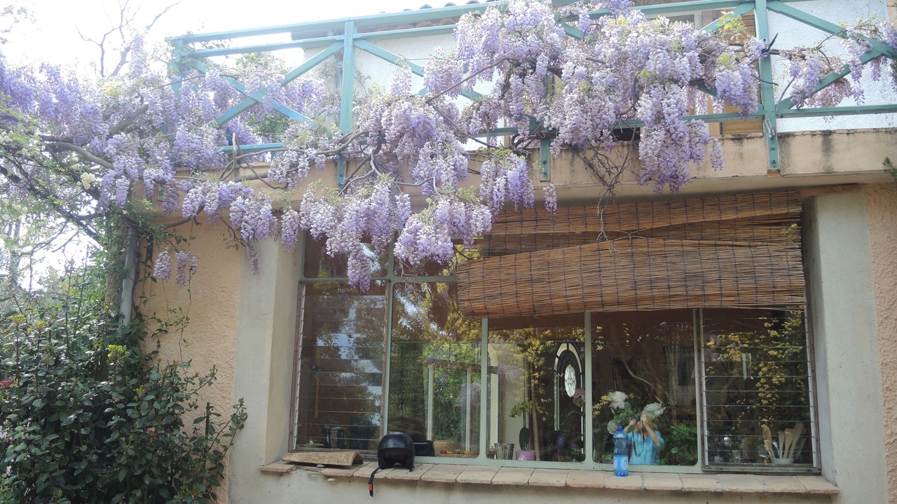 Photo of Outdoor in Cournonterral