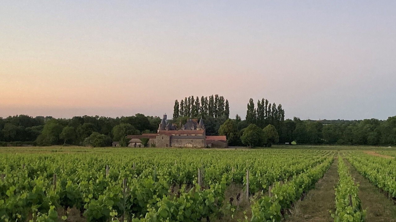 Photo of Others in Saint-Hilaire-de-Loulay