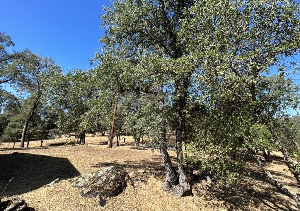 Photo of Outdoor in Placerville