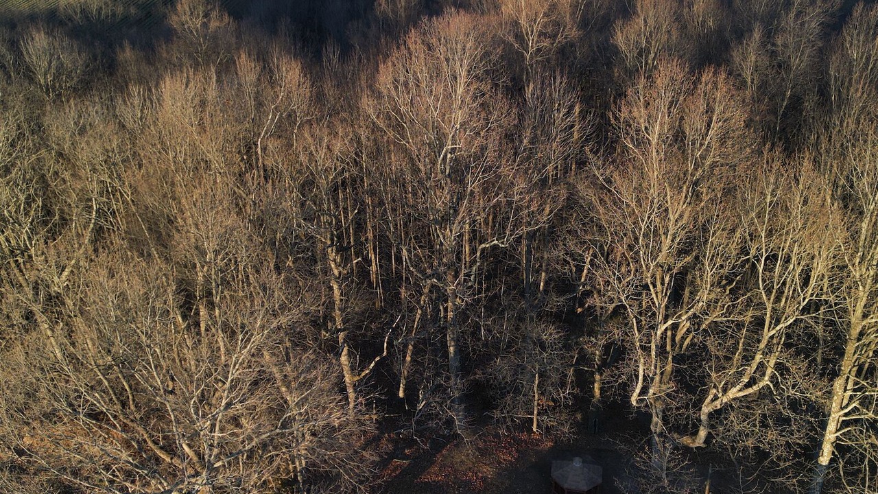 Photo of Outdoor in Hillsville