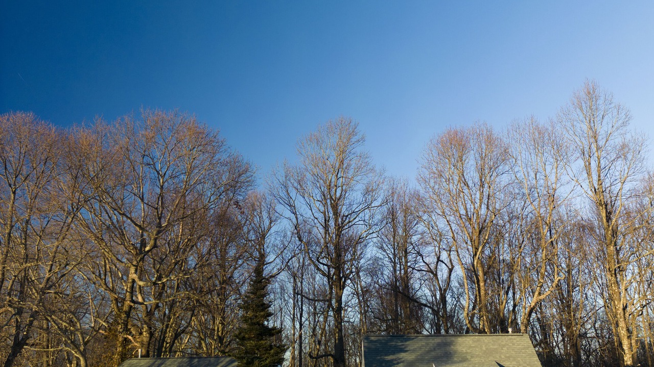 Photo of Outdoor in Hillsville