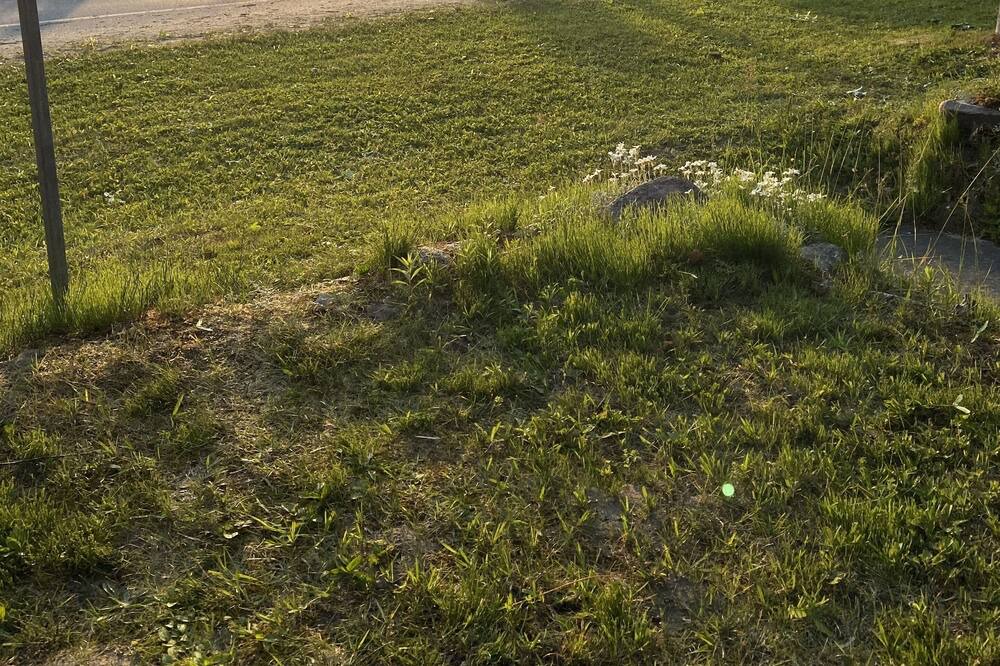 Photo of Outdoor in Sauble Beach