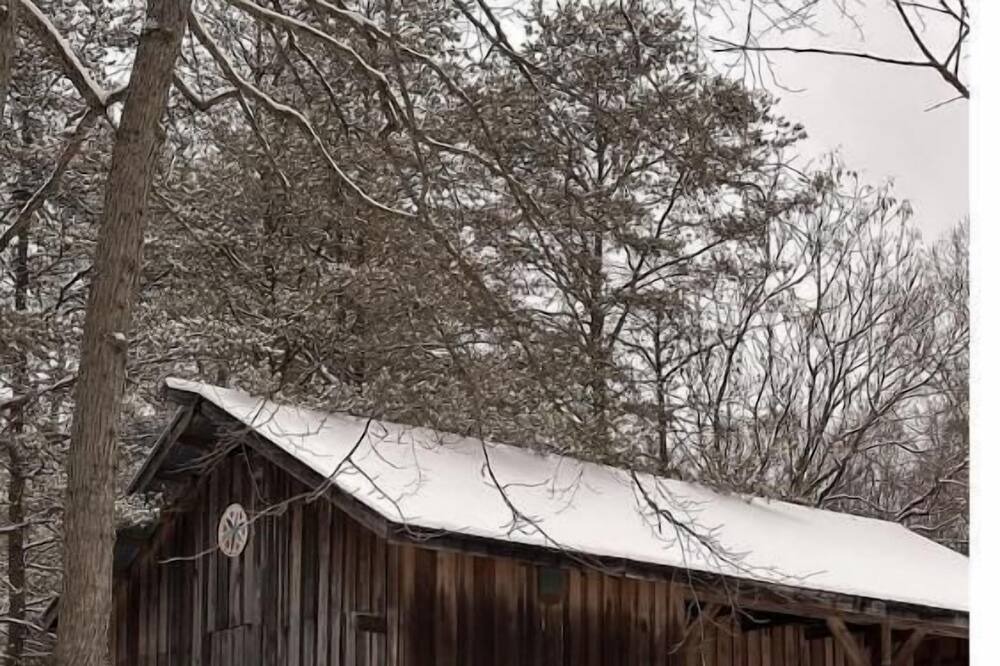 Photo of Outdoor in Arrington