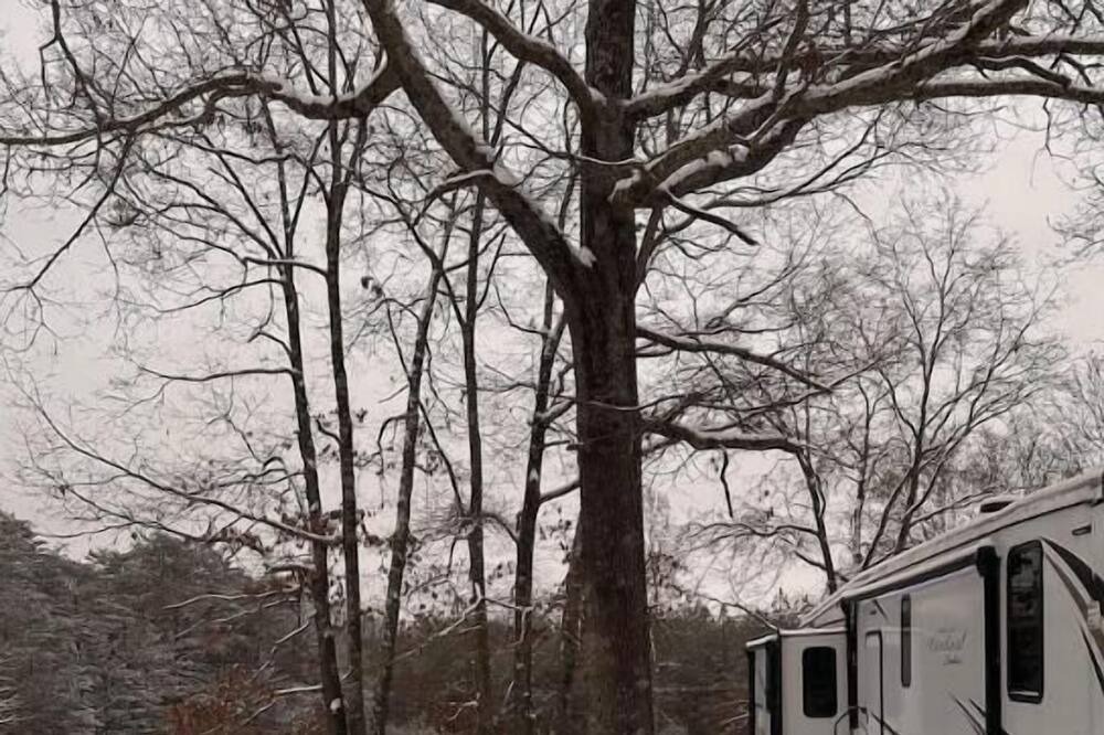 Photo of Others in Arrington