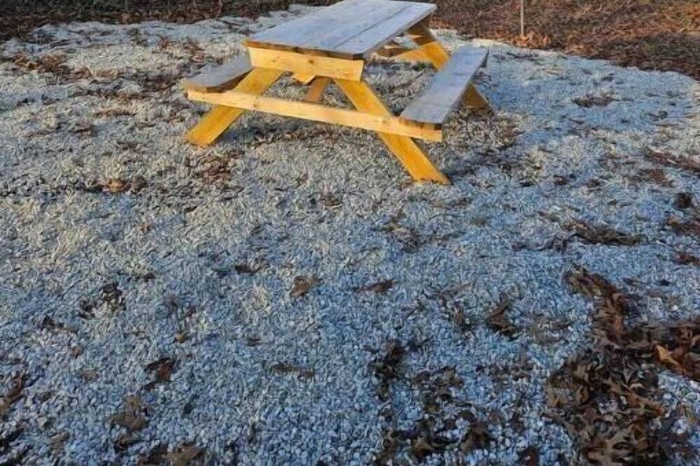Photo of Others in Arrington