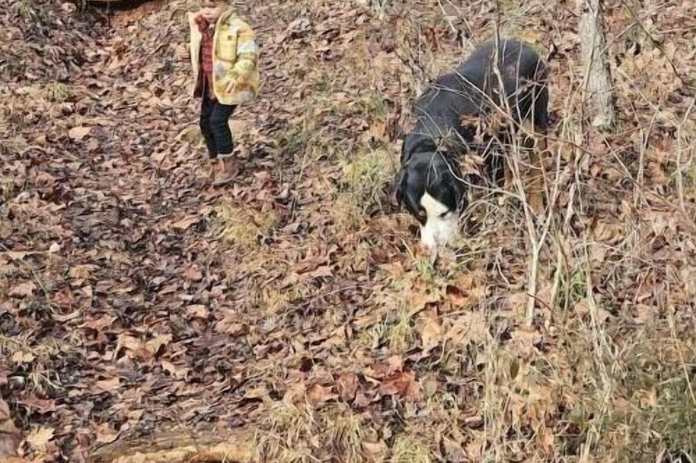 Photo of Others in Arrington