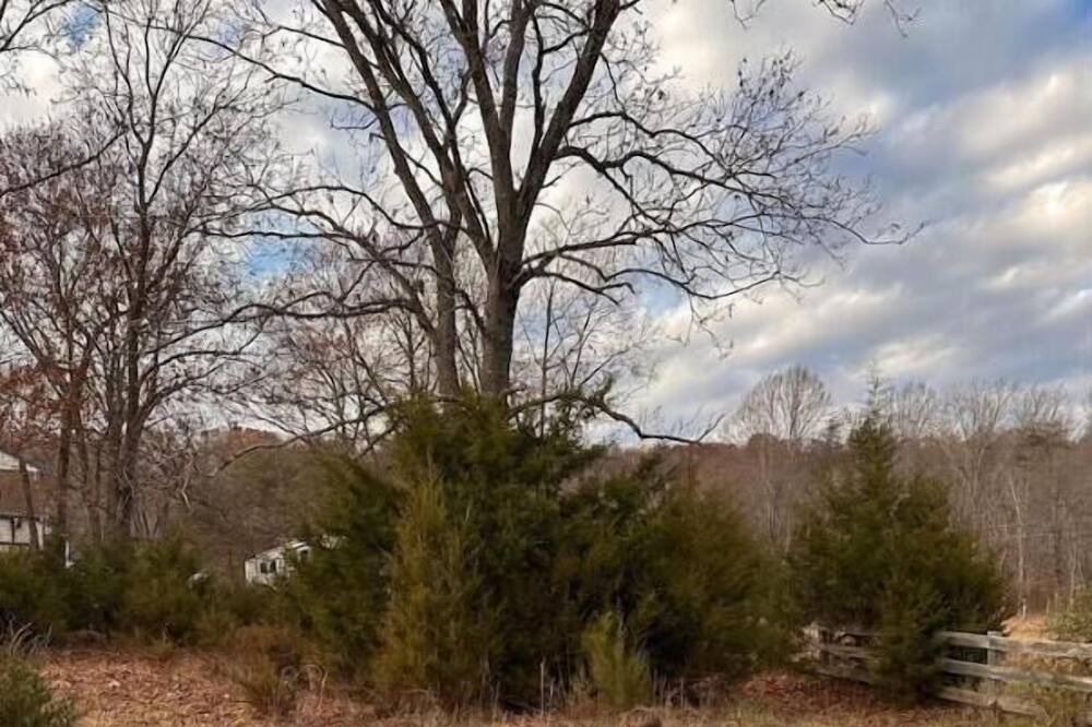 Photo of Outdoor in Arrington
