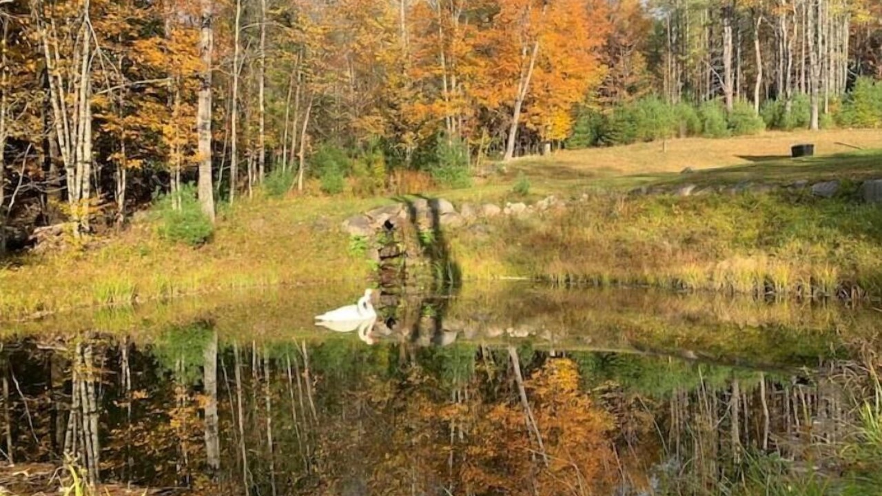 Photo of Others in North Creek