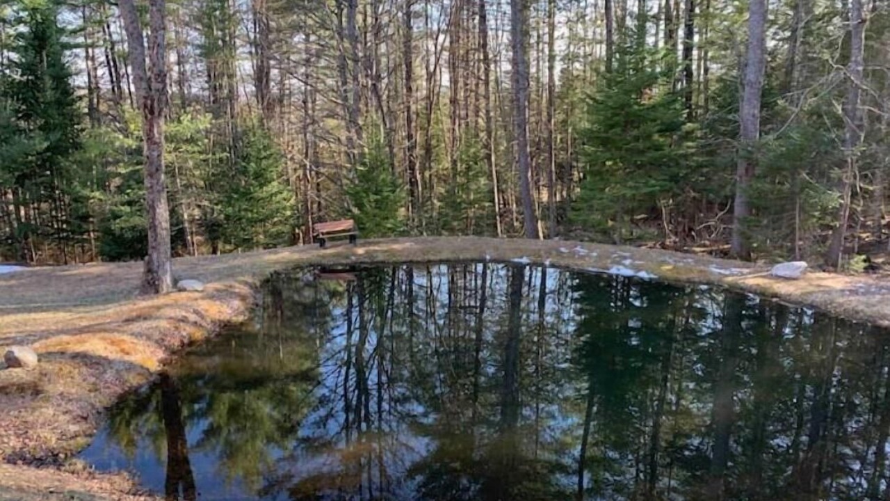 Photo of Others in North Creek